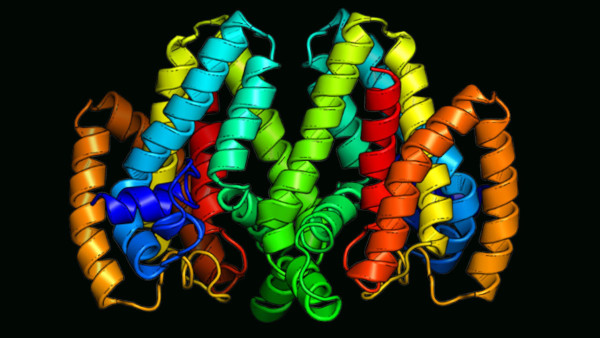 Biocatalysis (BOC)