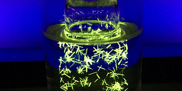 Functional Polymers and Sensors (FPS)